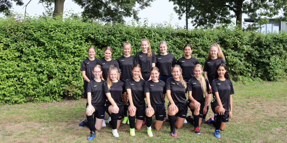 VSV-Vreeswijk-team-klein